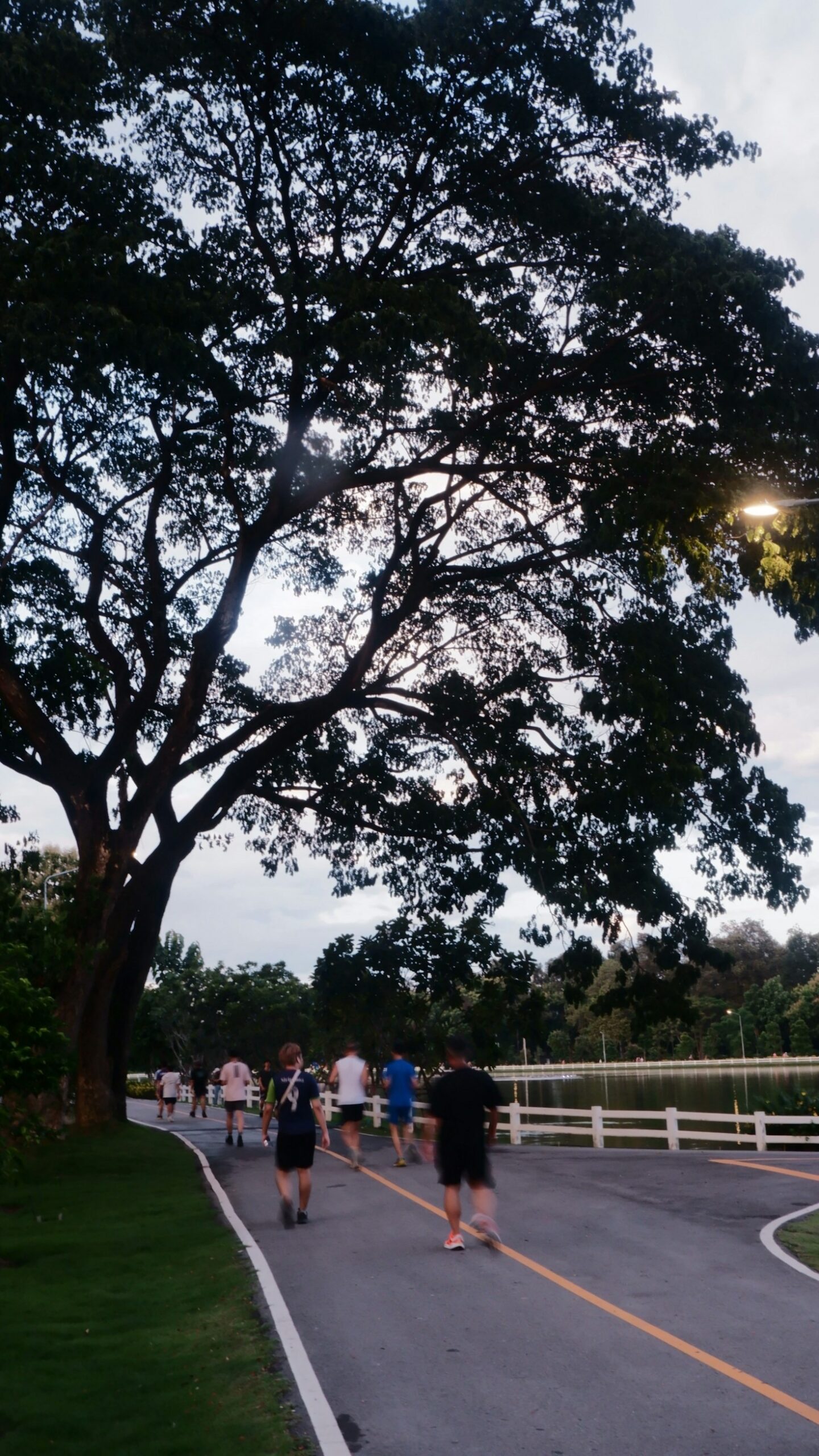 Embracing All Paces: Inclusivity in Running